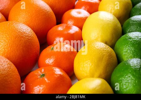 Agrumes mélangés colorés triés et alignés en rangées, gros plan Banque D'Images