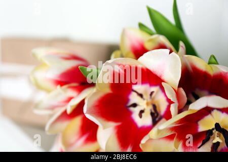 Bouquet de tulipes variégées, gros plan Banque D'Images