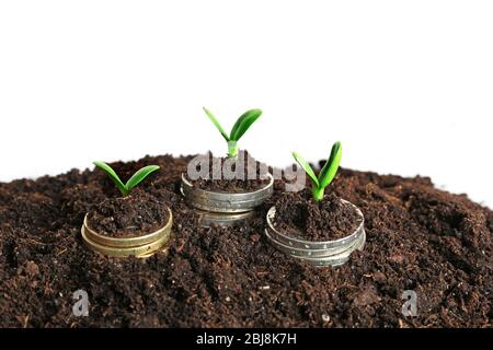Pièces dans le sol avec la jeune plante isolée sur blanc Banque D'Images