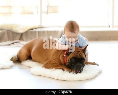 Petit garçon avec chien boxer reposant sur le sol à la maison Banque D'Images