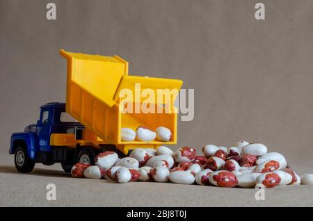 Un camion de vidage jaune déverse les haricots anasazi. Un camion jouet décharge un corps entier de haricots secs. Contexte créatif. Récolte et logistique. Sélection Banque D'Images