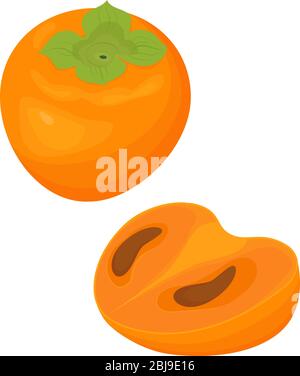 fruit mûr et mûr de l'orange, le persimmon illustration vectorielle entière et à moitié isolée sur fond blanc Illustration de Vecteur