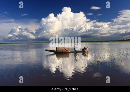 Pêcheurs pêche sur le Tanguar Haor également appelé Tangua Haor en utilisant des bateaux. C'est un écosystème unique de zones humides. 17 août, Sunamganj, Bangladesh 2017. Banque D'Images