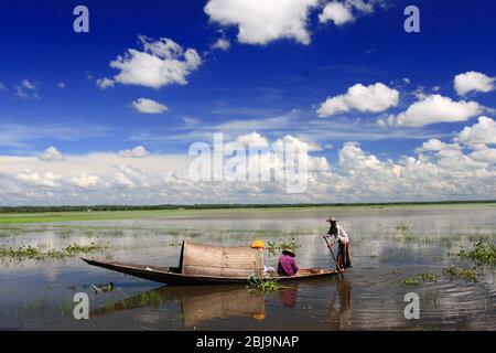 Pêcheurs pêche sur le Tanguar Haor également appelé Tangua Haor en utilisant des bateaux. C'est un écosystème unique de zones humides. 17 août, Sunamganj, Bangladesh 2017. Banque D'Images