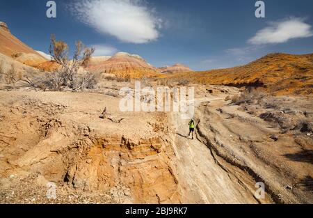 Athlète coureur avec barbe d'exécution sur le sentier sauvage à montagnes rouges dans le désert Banque D'Images