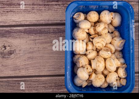 Jeunes champignons dans un plateau en plastique sur fond en bois. Gros plan Banque D'Images