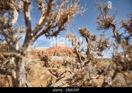 Paysage de montagne en couches bizarres encadrée par saxaul arbre dans beau parc du désert Banque D'Images