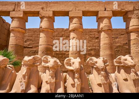 Statues de granit d'Amun sous la forme d'un bélier dans l'avenue des Sphinxes à l'entrée du complexe du temple de Karnak et du musée en plein air de Karnak (construit abou Banque D'Images