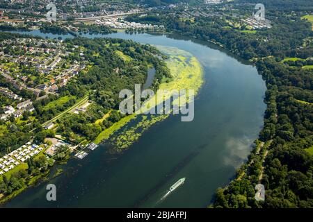 Nuttall, Ouest (Elodea nuttallii), péninsule de Heisingen au lac Baldeney avec la Ruhrbogen, 19.07.2016, vue aérienne, Allemagne, Rhénanie-du-Nord-Westphalie, région de la Ruhr, Essen Banque D'Images