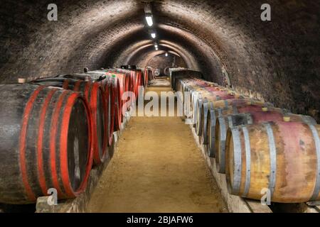 Ancienne cave à vin à Pecs, Hongrie Banque D'Images