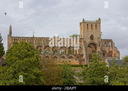 Les ruines de l'abbaye de Jedburgh du XIIe siècle au-dessus de la rivière, Jed Water, Scottish Borders, Ecosse, Royaume-Uni. Banque D'Images