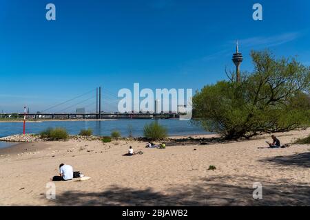 Le Rhin près de DŸsseldorf, la plage du Rhin au port, les gratte-ciel, le pont du Rhin, la tour du Rhin, le NRW, l'Allemagne Banque D'Images