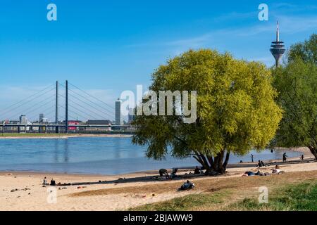 Le Rhin près de DŸsseldorf, la plage du Rhin au port, les gratte-ciel, le pont du Rhin, la tour du Rhin, le NRW, l'Allemagne Banque D'Images