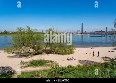 Le Rhin près de DŸsseldorf, la plage du Rhin au port, les gratte-ciel, le pont du Rhin, le NRW, l'Allemagne Banque D'Images