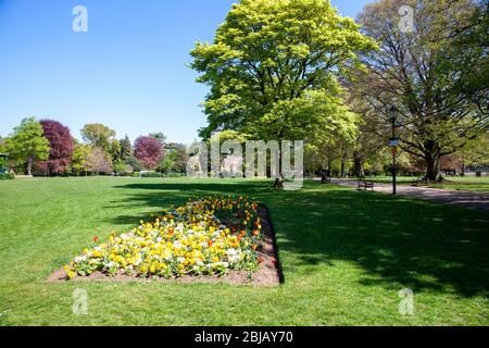 Après-midi ensoleillé à Abington Park, Northampton avec les lits de fleurs en pleine couleur et ciel clair. Banque D'Images