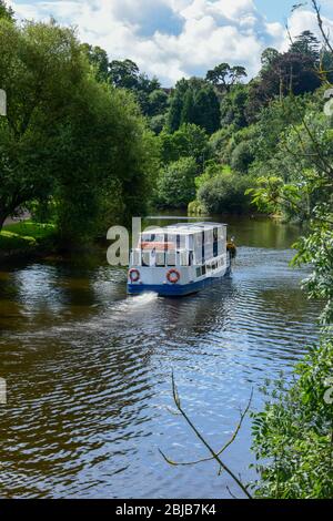 Bateau de voyage Sabrina naviguant lentement le long de la rivière Severn à Shrewsbury. Banque D'Images