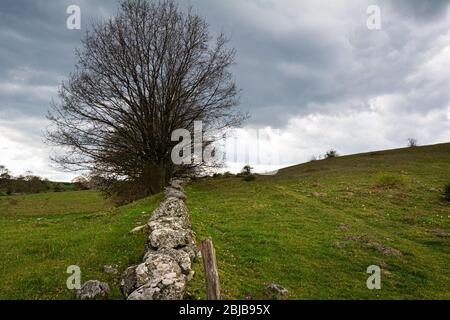 Paysage verdoyant et vallonné avec un ciel sombre dans le sud de la Suède de Scania Banque D'Images