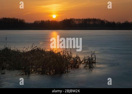 Lac gelé avec roseaux secs, beau coucher de soleil orange, arbres à l'horizon Banque D'Images