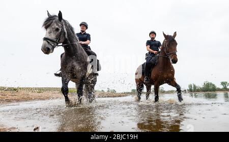 Bleckede, Allemagne. 29 avril 2020. Policewomen Yasmin Pröstler (l) et Anna Schloßer (r) font leurs chevaux de service le long des rives de l'Elbe lors d'une réunion de presse. Dans les semaines à venir, les officiers des escadrons équestres de Hanovre et Braunschweig doivent informer les visiteurs des règles de protection et punir les violations telles que le camping illégal et les feux ouverts. Crédit: Philipp Schulze/dpa/Alay Live News Banque D'Images