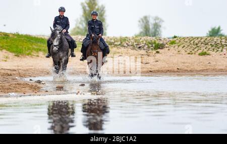 Bleckede, Allemagne. 29 avril 2020. Policewomen Yasmin Pröstler (l) et Anna Schloßer (r) font leurs chevaux de service le long des rives de l'Elbe lors d'une réunion de presse. Dans les semaines à venir, les officiers des escadrons équestres de Hanovre et Braunschweig doivent informer les visiteurs des règles de protection et punir les violations telles que le camping illégal et les feux ouverts. Crédit: Philipp Schulze/dpa/Alay Live News Banque D'Images