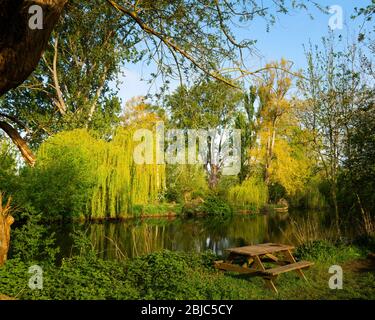 Parc en silence pendant le Coronavirus / Covid-19 à Oxford, au Royaume-Uni Banque D'Images