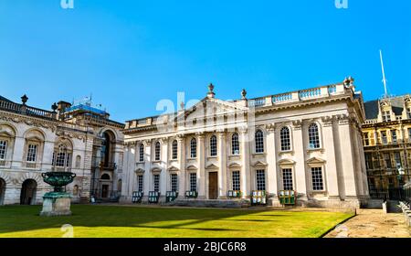 La Chambre du Sénat de l'Université de Cambridge en Angleterre Banque D'Images