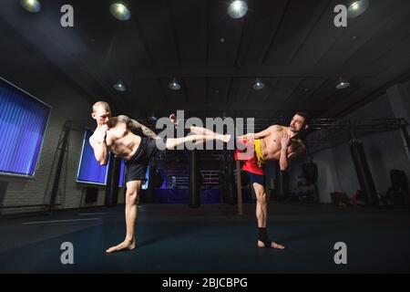 Sports: Les boxeurs pratiquent le kick dans une salle de boxe. Banque D'Images