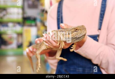 Jeune femme tenant agama lézard dans une boutique pour animaux de compagnie, vue rapprochée Banque D'Images