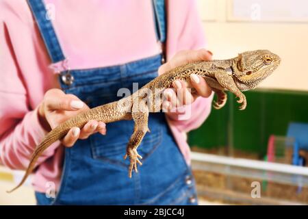 Portrait de la jeune femme belle tenant agama lézard dans la boutique d'animaux de compagnie Banque D'Images