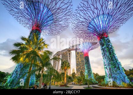 Singapour 02. 2020 janvier : Jardins de la baie avec les Super arbres la nuit, en arrière-plan l'hôtel Marina Bay Sands Banque D'Images