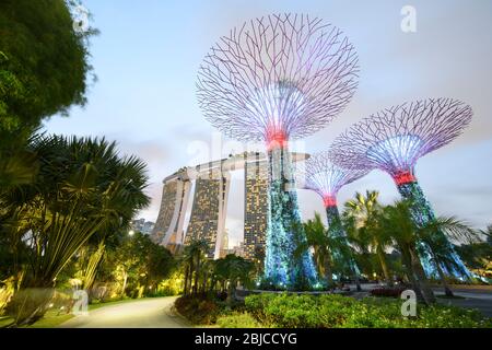 Singapour 02. 2020 janvier : Jardins de la baie avec les Super arbres la nuit, en arrière-plan l'hôtel Marina Bay Sands Banque D'Images