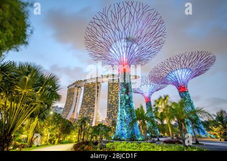 Singapour 02. 2020 janvier : Jardins de la baie avec les Super arbres la nuit, en arrière-plan l'hôtel Marina Bay Sands Banque D'Images