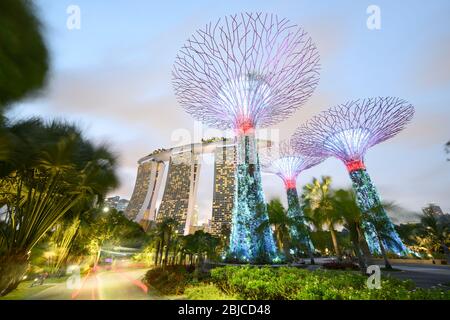 Singapour 02. 2020 janvier : Jardins de la baie avec les Super arbres la nuit, en arrière-plan l'hôtel Marina Bay Sands Banque D'Images