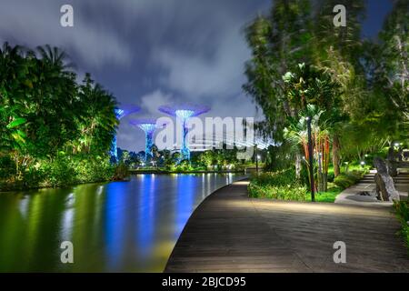 Singapour 02. 2020 janvier : Jardins de la baie avec les Super arbres la nuit, en arrière-plan l'hôtel Marina Bay Sands Banque D'Images