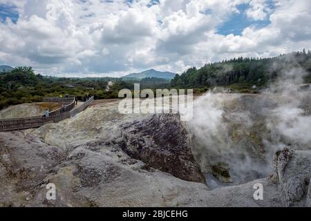 Les voyageurs qui regardent la vapeur s'élever depuis les piscines géothermiques de Wai-O-Tau (eaux sacrées) près de Rotorua en Nouvelle-Zélande Banque D'Images