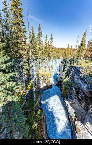 Rivière, arbres et nature sauvage à Jasper, Canada Banque D'Images