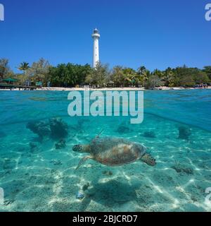 Une tortue de mer verte sous l'eau avec la côte de l'île d'Amedee et son phare, vue partagée sous la surface de l'eau, Nouvelle-Calédonie, océan Pacifique Banque D'Images