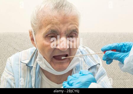 Test du coronavirus - travailleur médical prenant un écouvillon de gorge pour l'échantillon de coronavirus provenant d'une femme âgée potentiellement infectée Banque D'Images