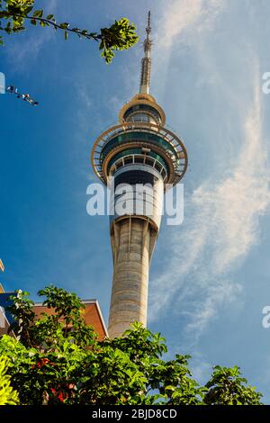La Sky Tower à Auckland, Nouvelle-Zélande Banque D'Images