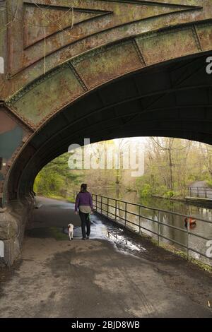 Femme marche avec son chien le long du système de voies navigables de Prospect Park, Brooklyn, New York. Banque D'Images