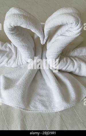 Deux serviettes de cygne trouvées dans un hôtel turc. Banque D'Images