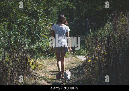 Petite fille marchant le chien sur le chemin de la forêt en été Banque D'Images