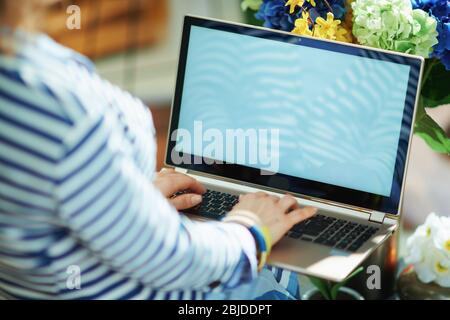 Vue de derrière la femme dans le salon en journée ensoleillée de travail sur ordinateur portable. Banque D'Images