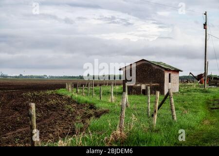 Une clôture en courbe qui divise un champ labouré d'une cour de ferme abandonnée en herbe surcultivée sous un ciel nuageux dans un paysage rural d'été Banque D'Images