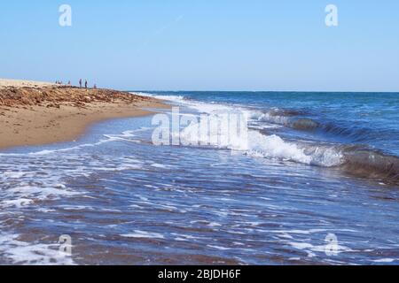 Vacances et voyage en été. Paysage marin, plage de sable avec coquillages. Vagues sur la plage de sable sur la mer. Banque D'Images