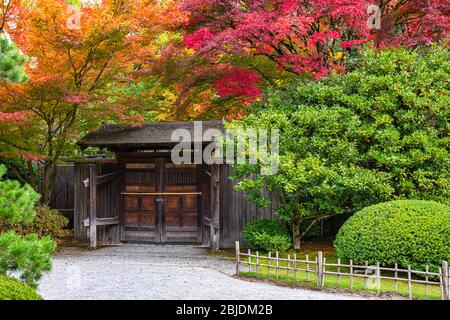 Ancienne porte traditionnelle dans le jardin japonais avec le feuillage d'automne de l'érable Banque D'Images