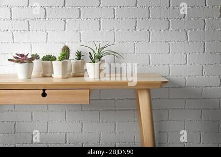 Succulents et cactus sur table en bois sur fond de mur de brique blanche Banque D'Images