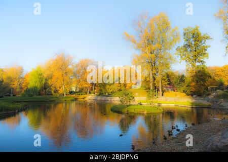 Feuillage d'automne avec filtre orton de rêve. Jardin japonais dans le parc Kadriorg. Tallinn, Estonie. Banque D'Images