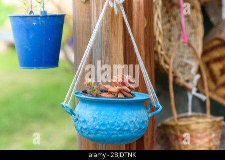 Idées de semoir réutilisées. Une ancienne casserole bleue se transforme en pots de fleurs de jardin. Jardin recyclé et style de vie peu gaspillent. Banque D'Images