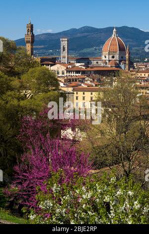 Vue de printemps sur la cathédrale Saint Marie de la fleur (Cattedrale di Santa Maria del Fiore) et les arbres roses blancs en premier plan. Florence, Tusca Banque D'Images